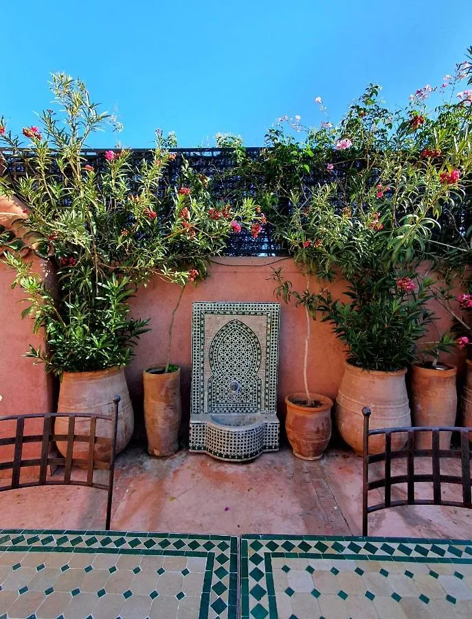 Riad Chameau Fdc Hotel Spa Marrakesh