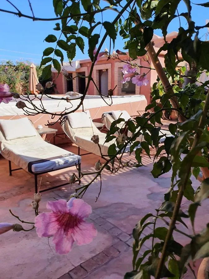 Riad Chameau Fdc Hotel Spa Marrakesh