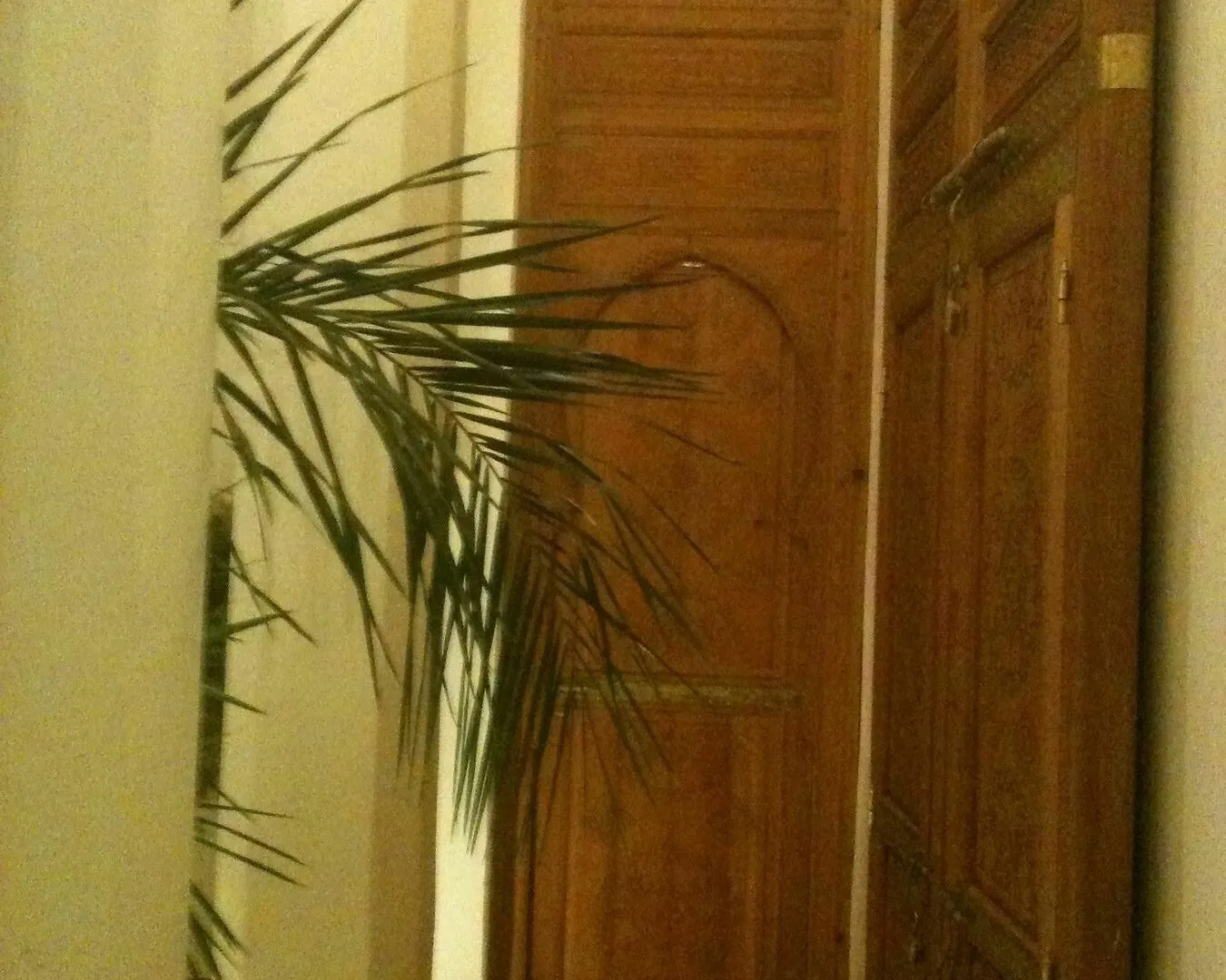 Riad Chameau Fdc Hotel Spa Marrakesch